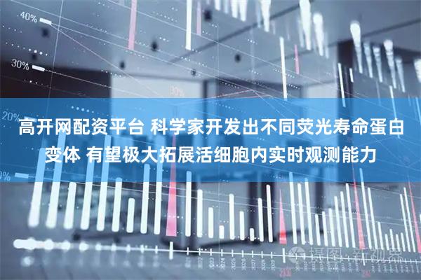 高开网配资平台 科学家开发出不同荧光寿命蛋白变体 有望极大拓展活细胞内实时观测能力