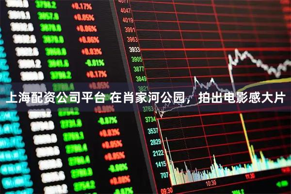 上海配资公司平台 在肖家河公园，拍出电影感大片