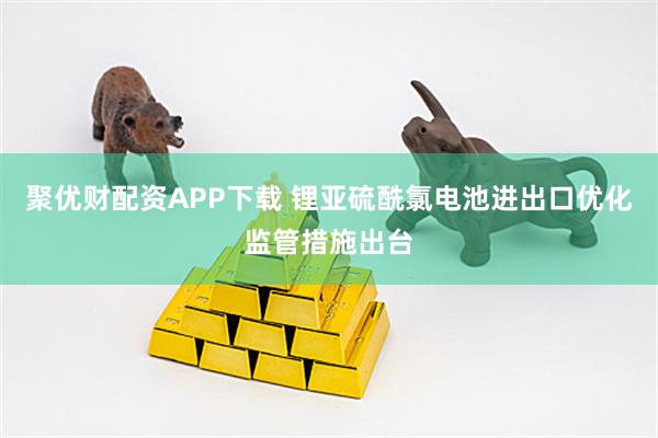 聚优财配资APP下载 锂亚硫酰氯电池进出口优化监管措施出台
